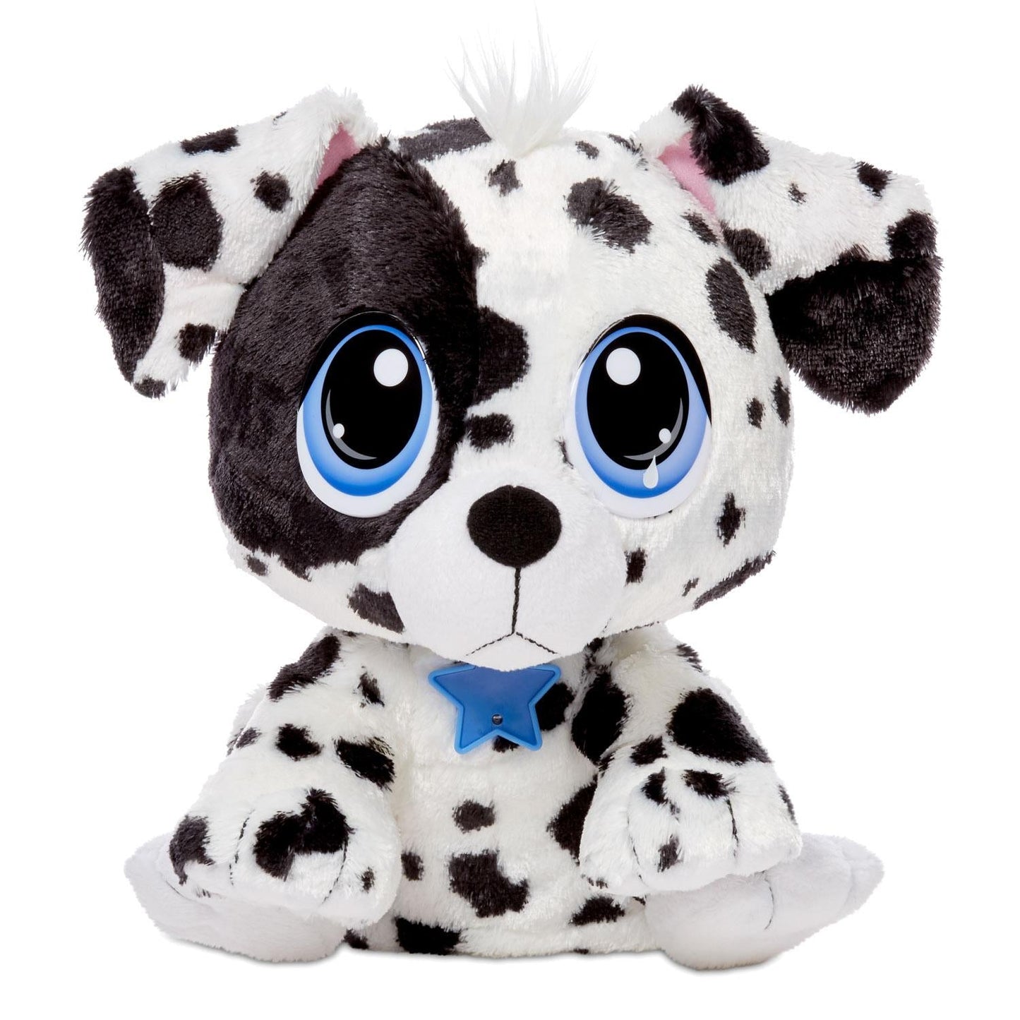 Rescue Tales  Adoptable Pets - Dalmatian