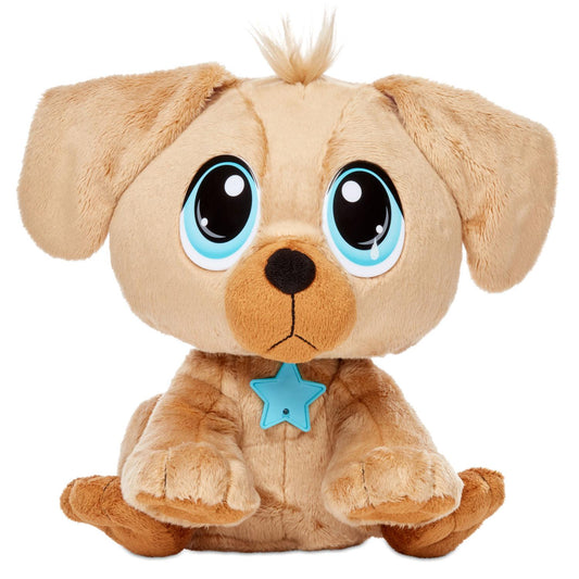 Rescue Tales  Adoptable Pets - Golden Retriever