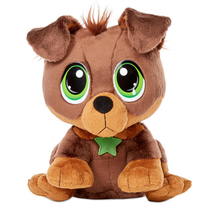 Rescue Tales  Adoptable Pets - Rottweiler