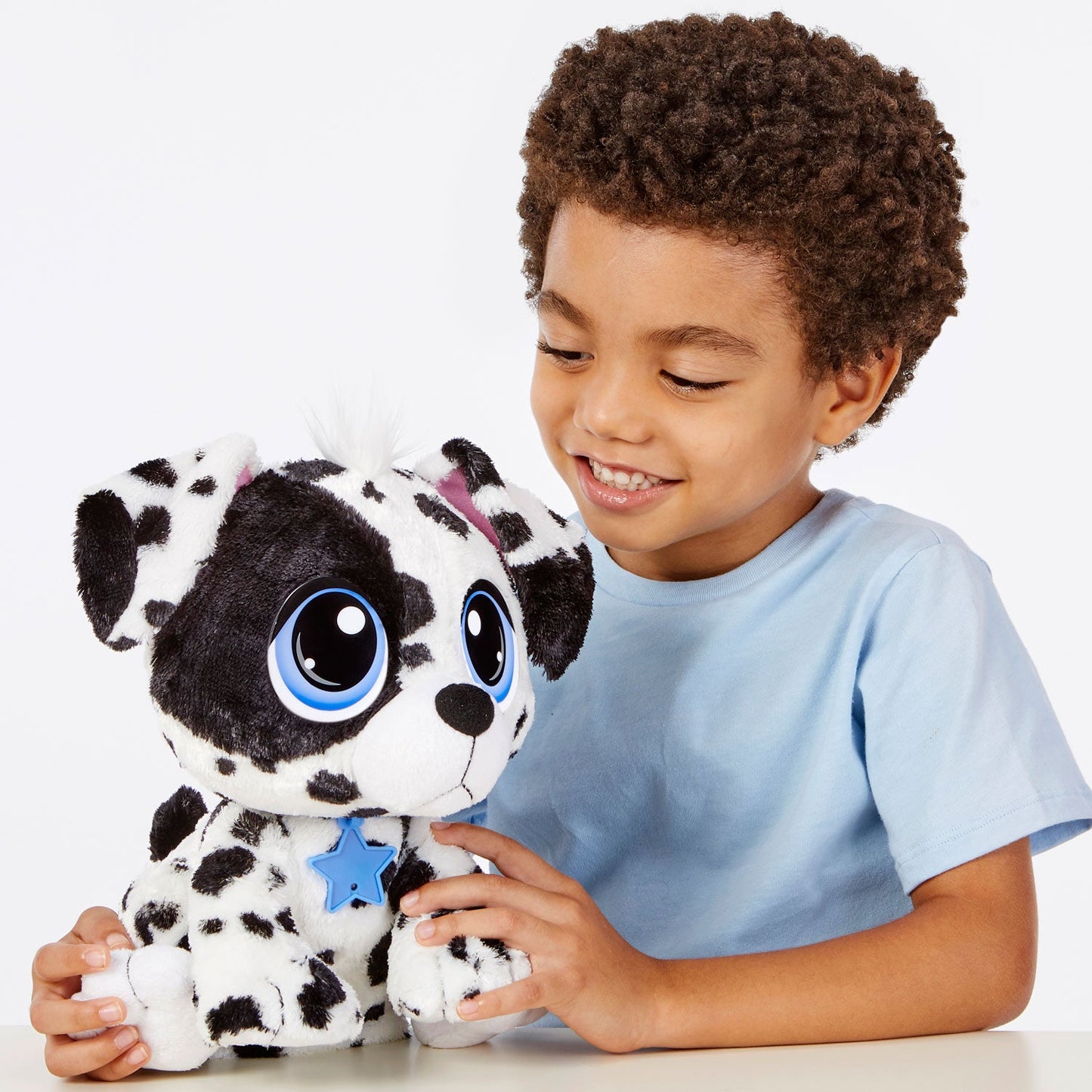 Rescue Tales  Adoptable Pets - Dalmatian