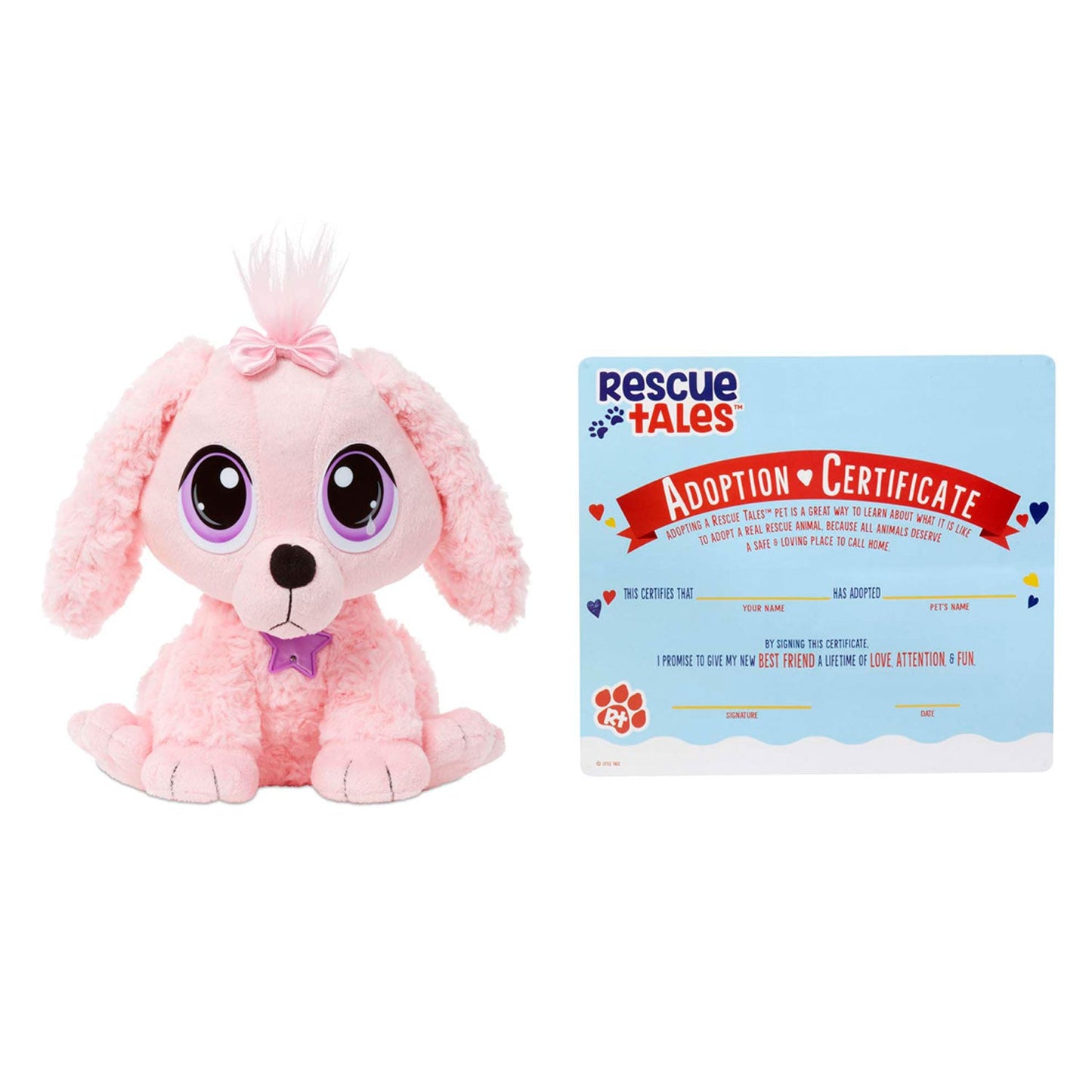 Rescue Tales  Adoptable Pets - Poodle