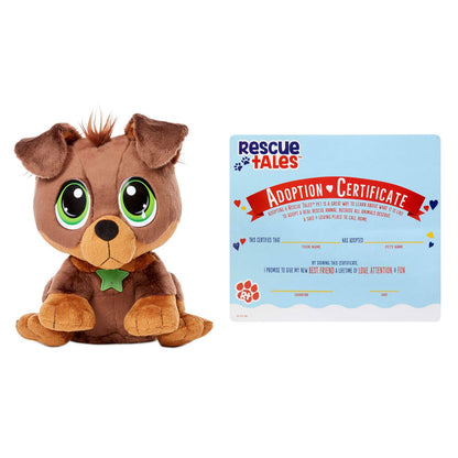 Rescue Tales  Adoptable Pets - Rottweiler